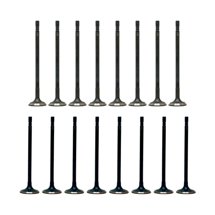Exhaust / Intake Valve Kit