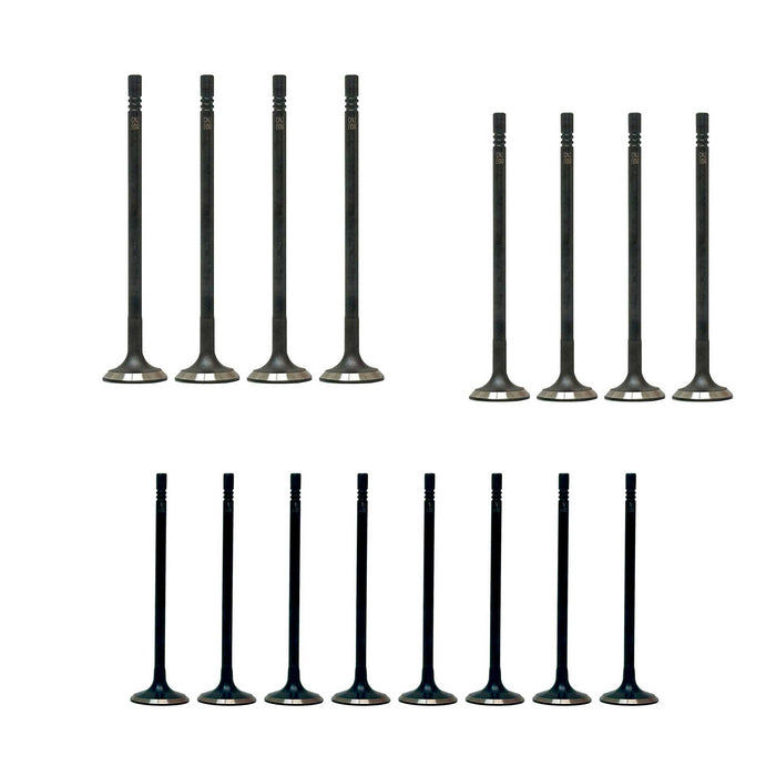 Exhaust / Intake Valve Kit