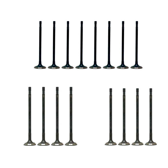 Exhaust / Intake Valve Kit