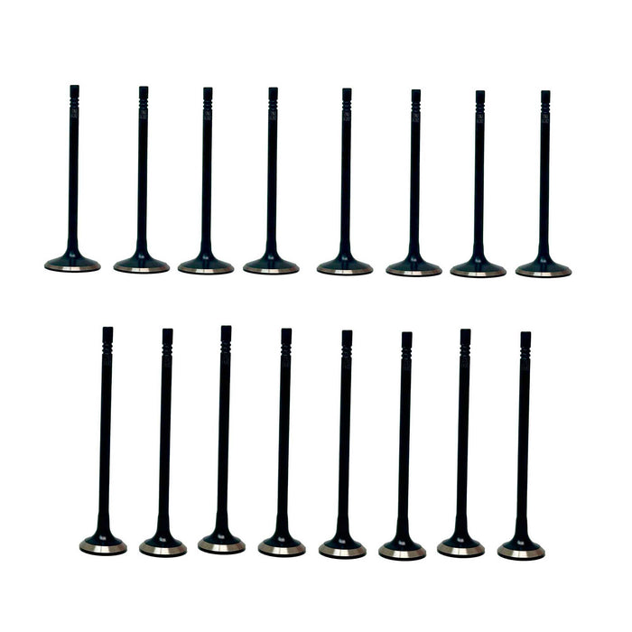 Exhaust / Intake Valve Kit