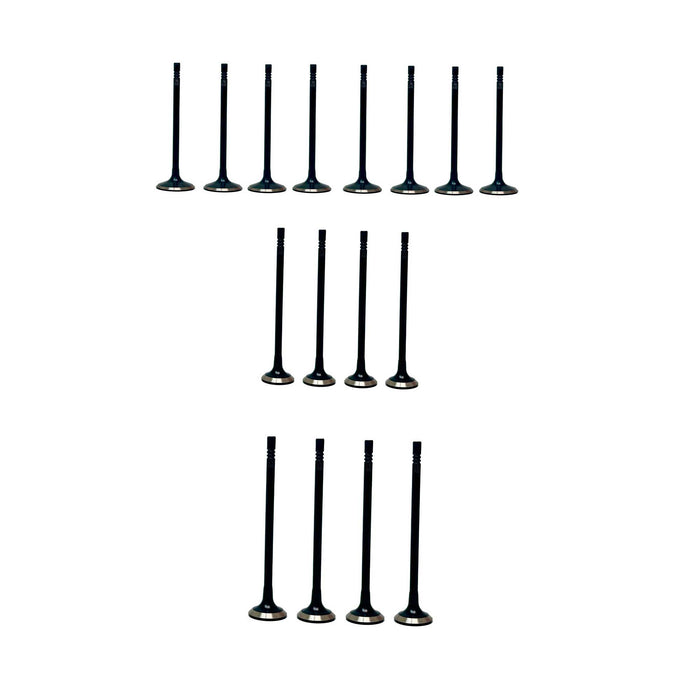 Exhaust / Intake Valve Kit