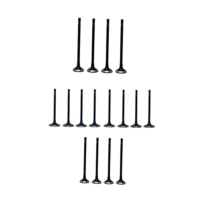 Exhaust / Intake Valve Kit