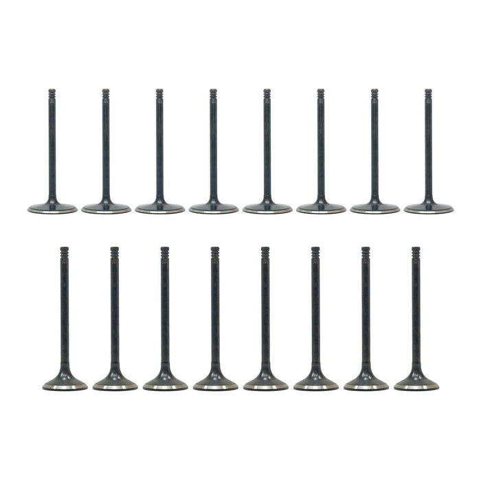 Exhaust / Intake Valve Kit