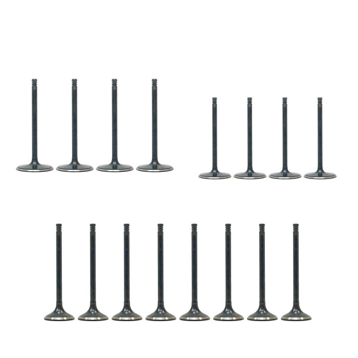 Exhaust / Intake Valve Kit
