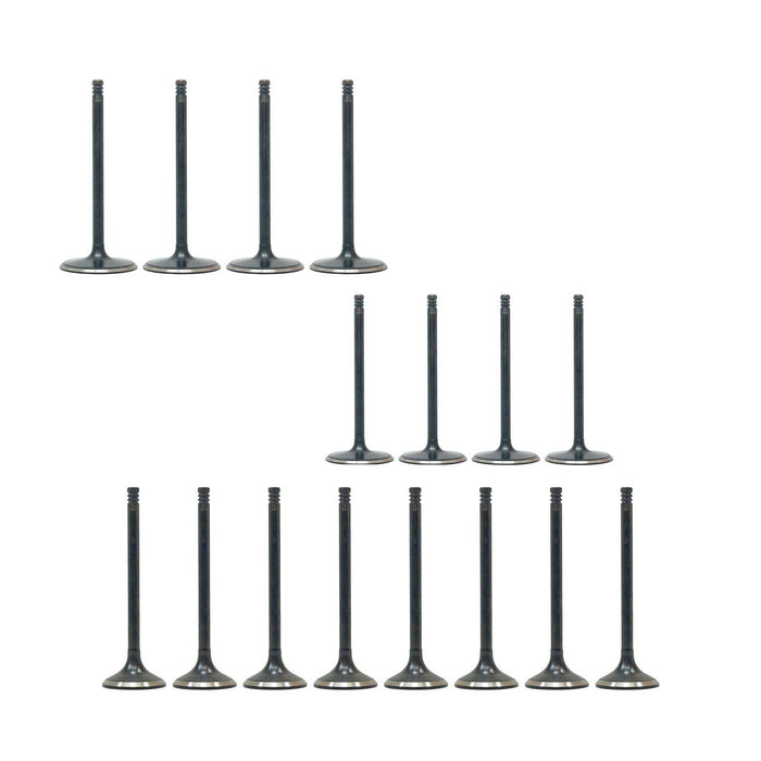Exhaust / Intake Valve Kit