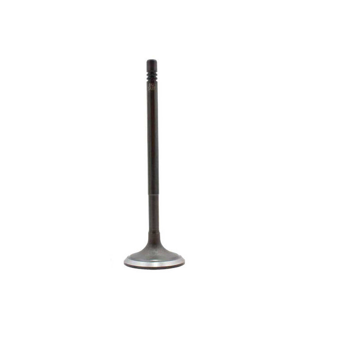 Exhaust / Intake Valve Kit