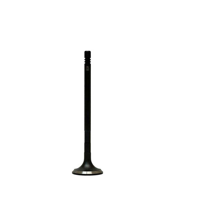 Exhaust / Intake Valve Kit