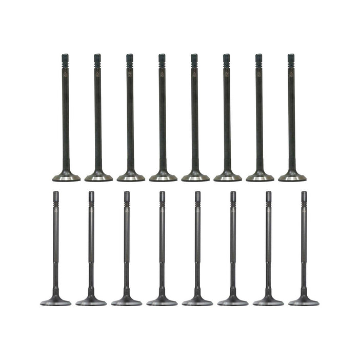 Exhaust / Intake Valve Kit