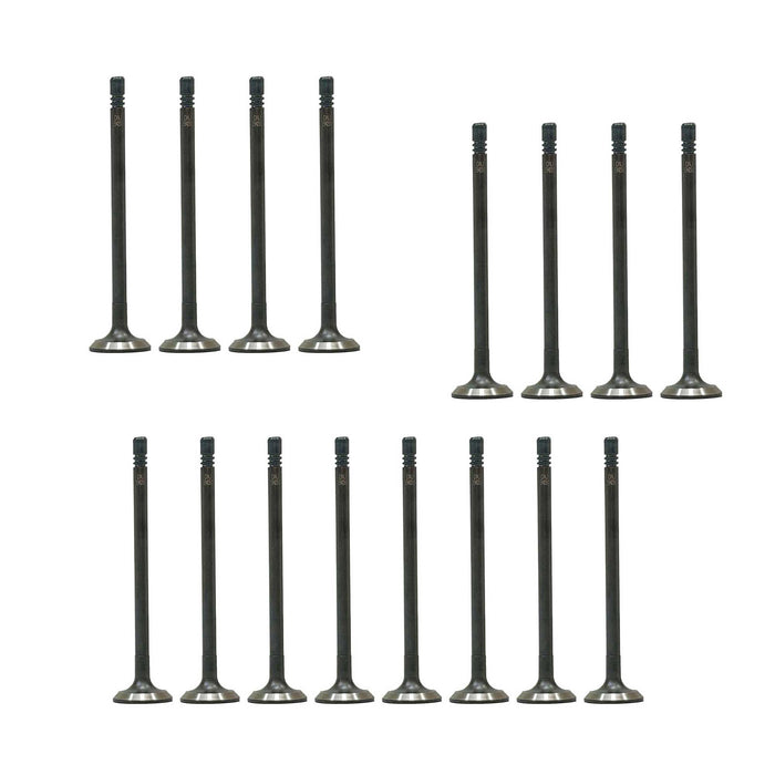 Exhaust / Intake Valve Kit