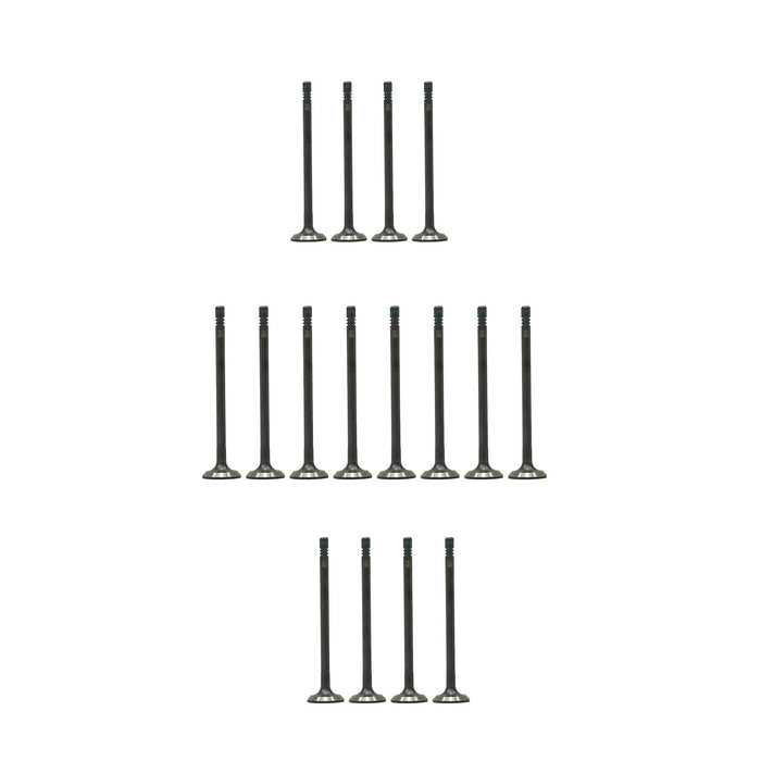 Exhaust / Intake Valve Kit