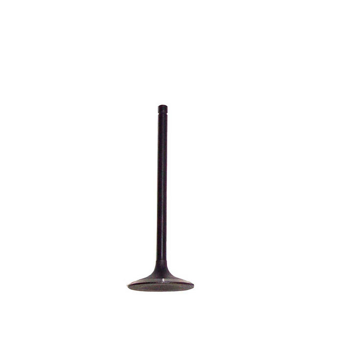 Exhaust / Intake Valve Kit