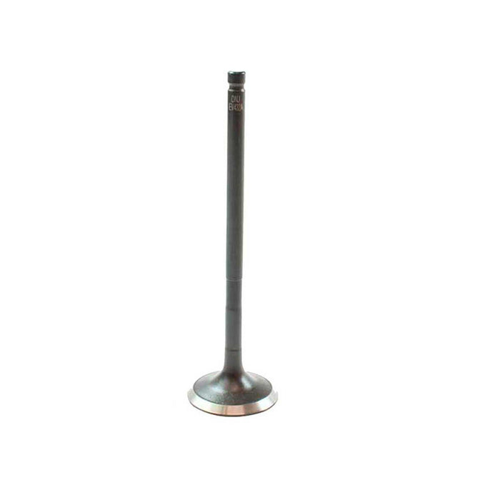 Exhaust / Intake Valve Kit