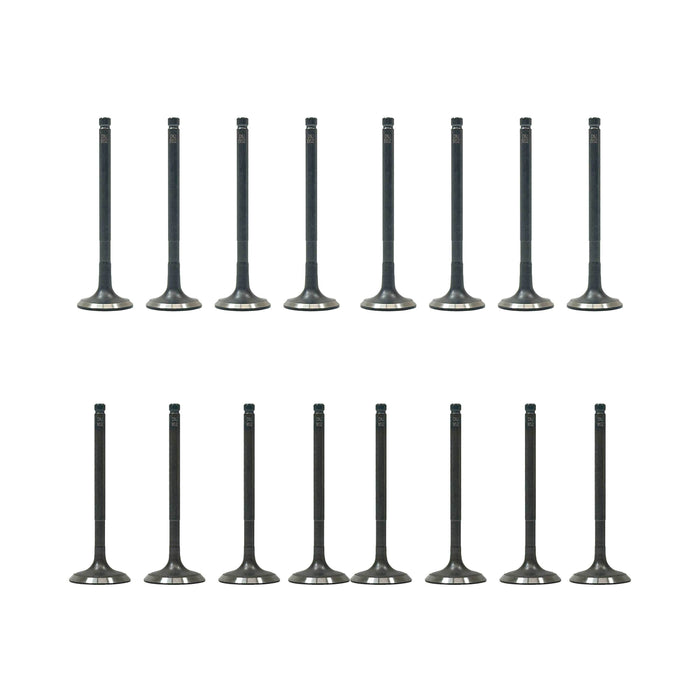 Exhaust / Intake Valve Kit