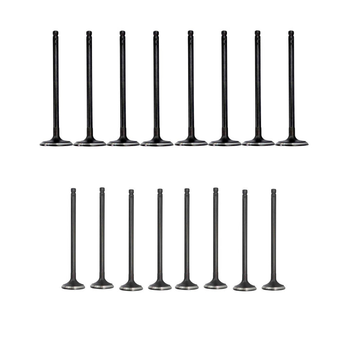 Exhaust / Intake Valve Kit