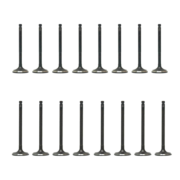 Exhaust / Intake Valve Kit