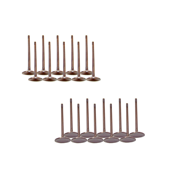 Exhaust / Intake Valve Kit
