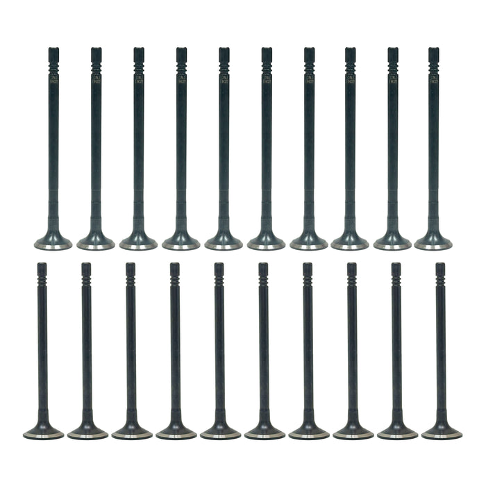 Exhaust / Intake Valve Kit