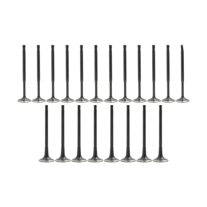 Exhaust / Intake Valve Kit