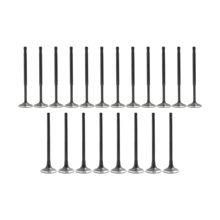 Exhaust / Intake Valve Kit