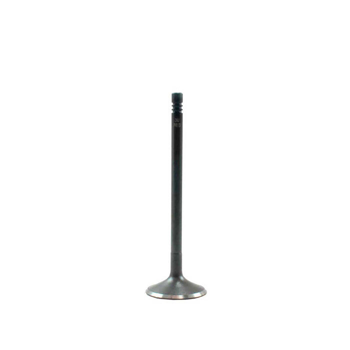 Exhaust / Intake Valve Kit