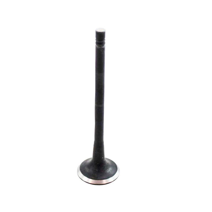 Exhaust / Intake Valve Kit