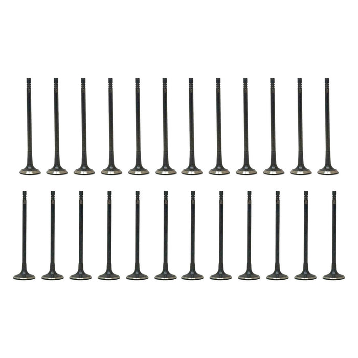 Exhaust / Intake Valve Kit