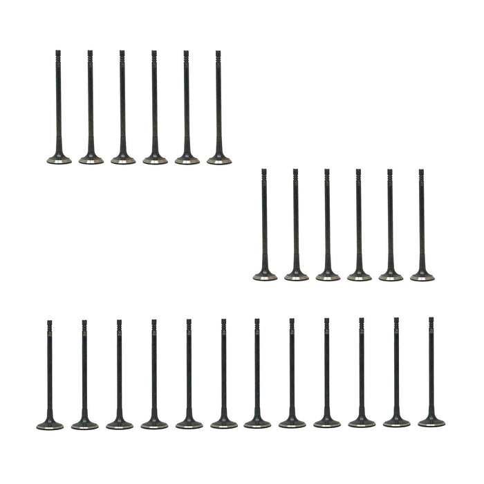 Exhaust / Intake Valve Kit