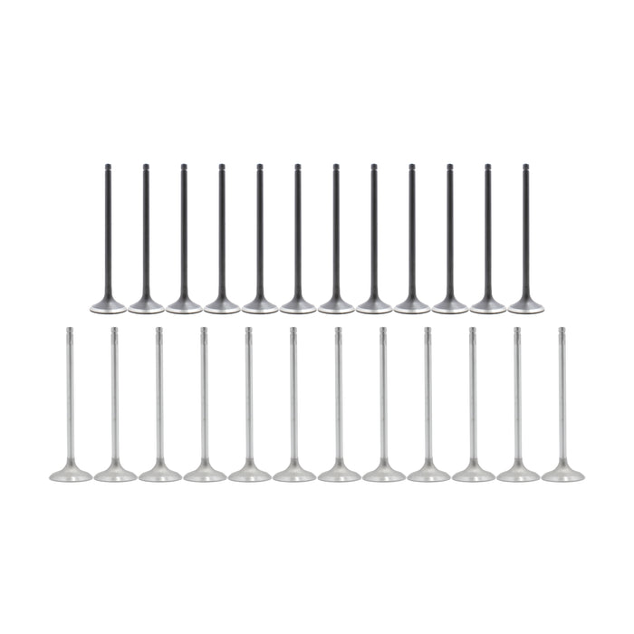 Exhaust / Intake Valve Kit