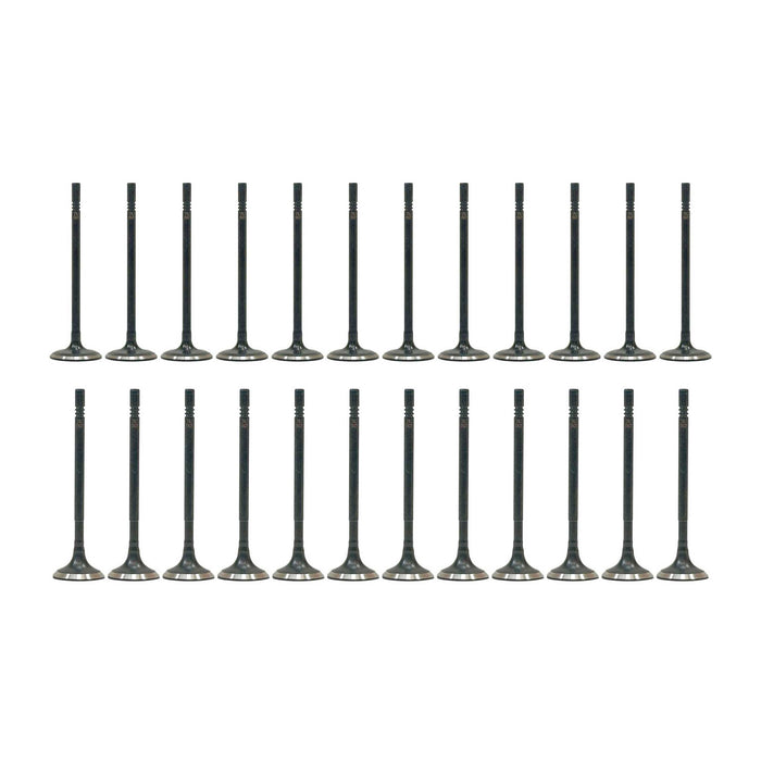 Exhaust / Intake Valve Kit