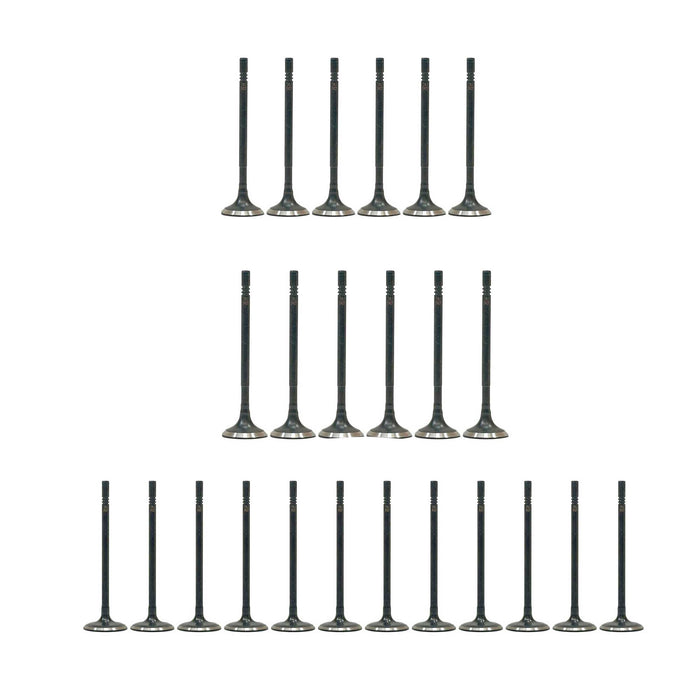 Exhaust / Intake Valve Kit