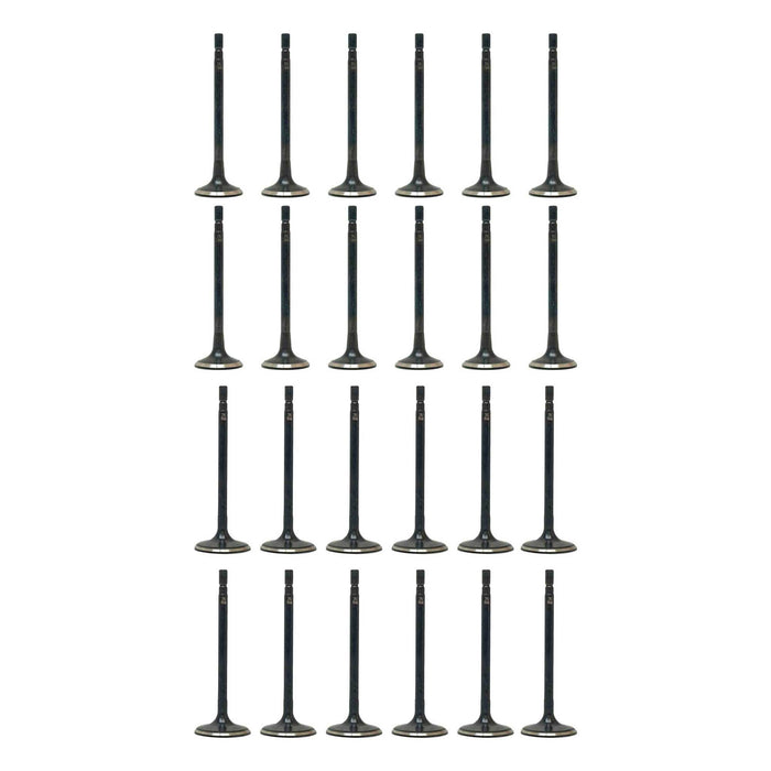 Exhaust / Intake Valve Kit