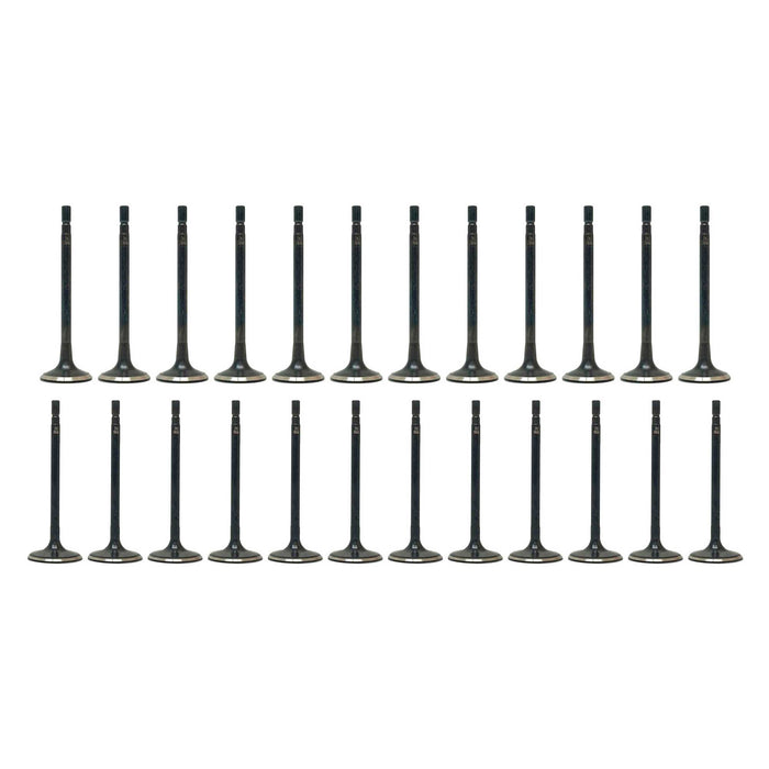 Exhaust / Intake Valve Kit