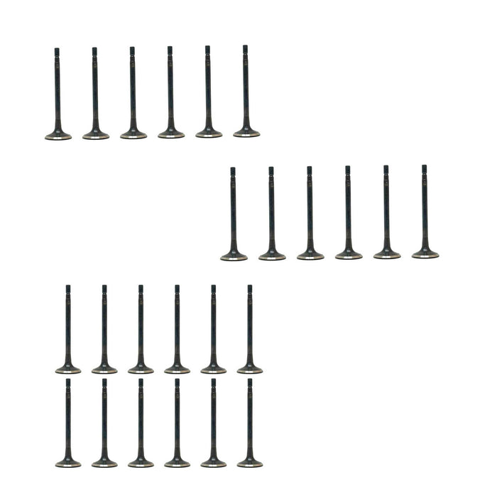 Exhaust / Intake Valve Kit
