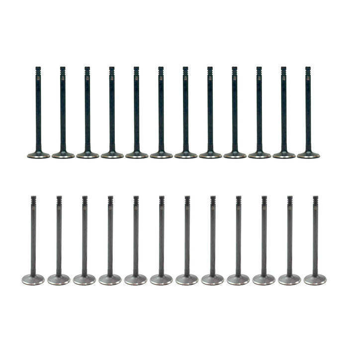 Exhaust / Intake Valve Kit