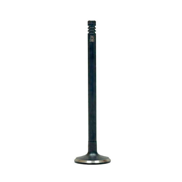 Exhaust / Intake Valve Kit