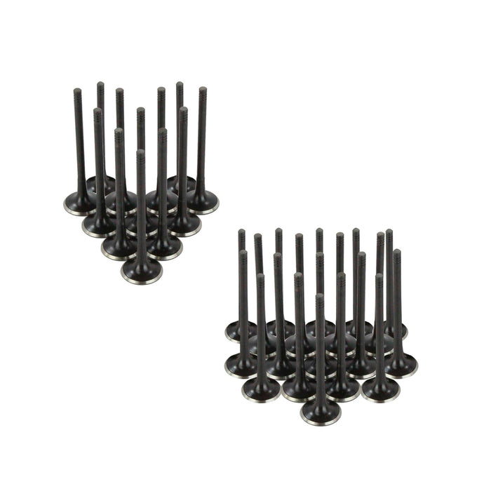 Exhaust / Intake Valve Kit