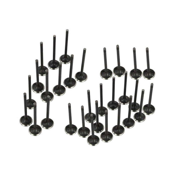 Exhaust / Intake Valve Kit