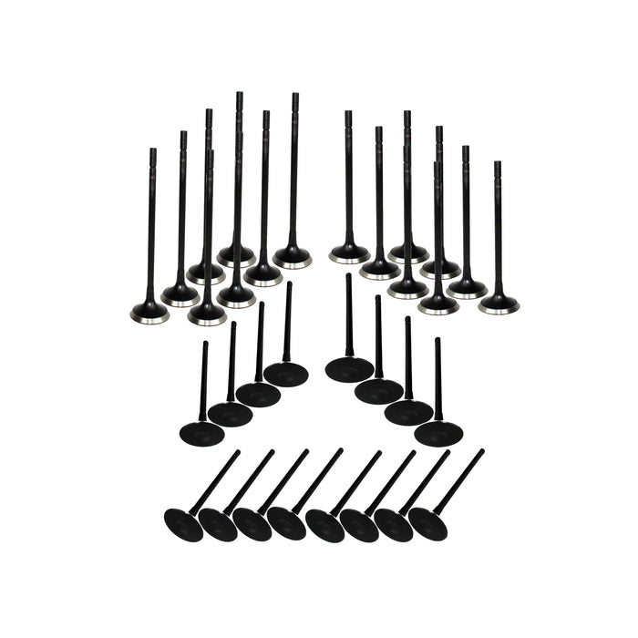 Exhaust / Intake Valve Kit