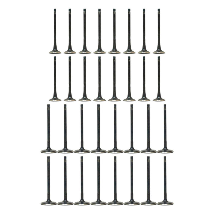 Exhaust / Intake Valve Kit