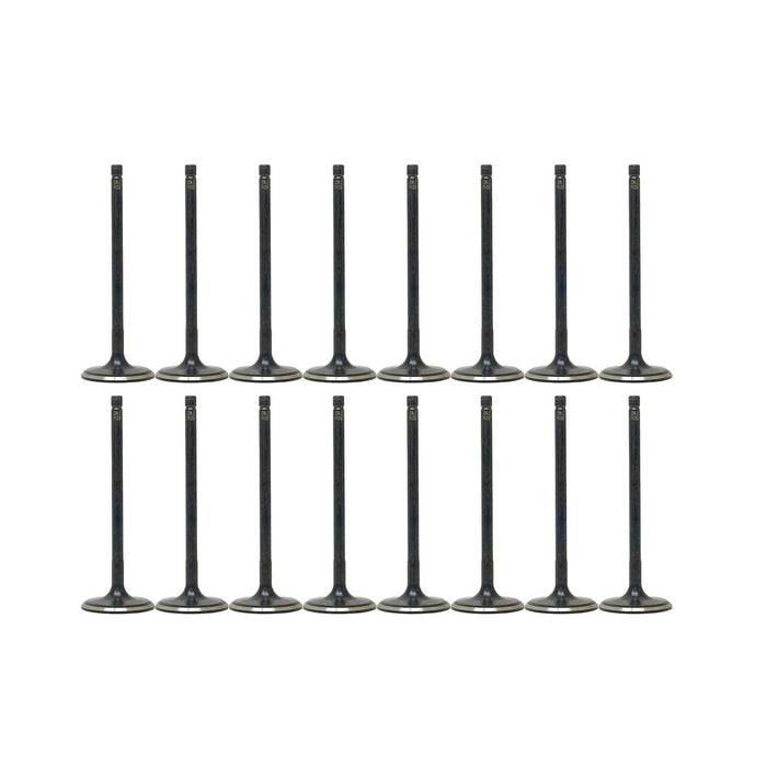 Exhaust / Intake Valve Kit