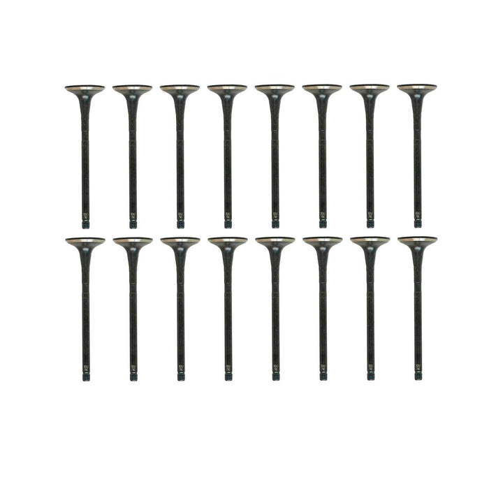 Exhaust / Intake Valve Kit