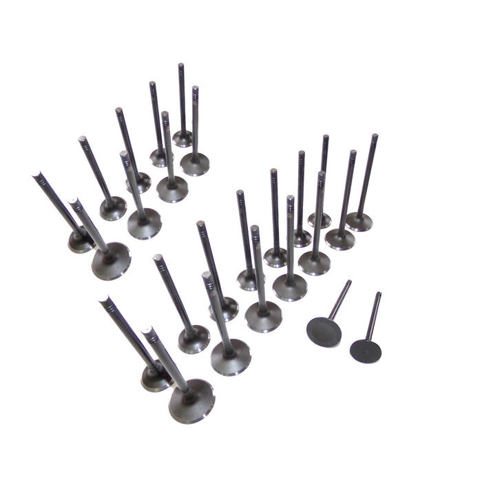 Exhaust / Intake Valve Kit