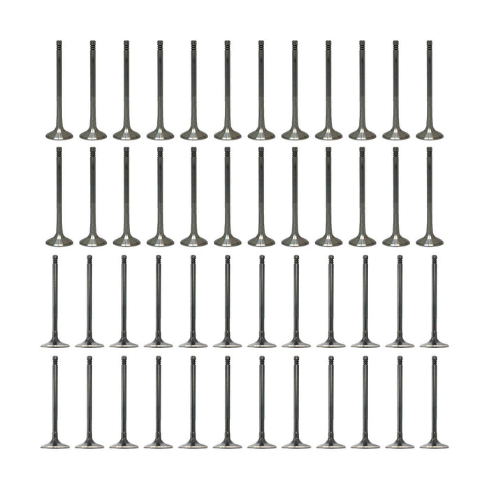 Exhaust / Intake Valve Kit
