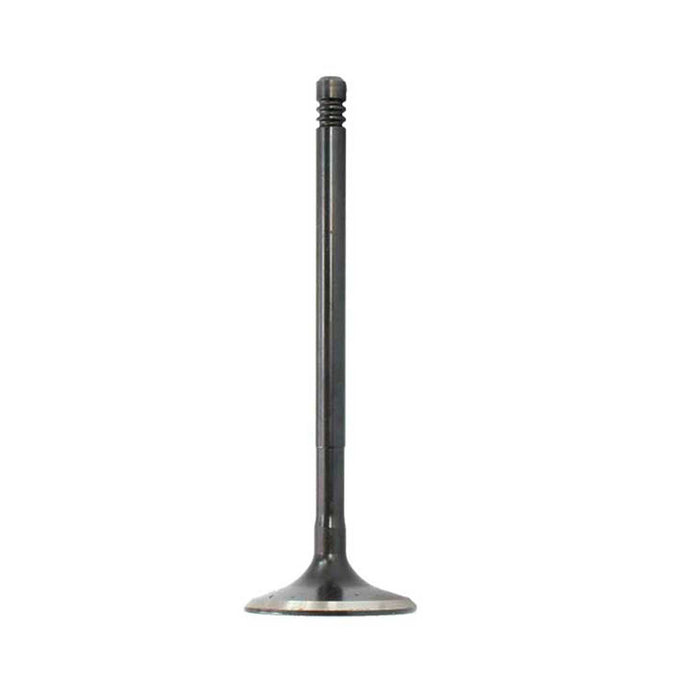 Exhaust / Intake Valve Kit