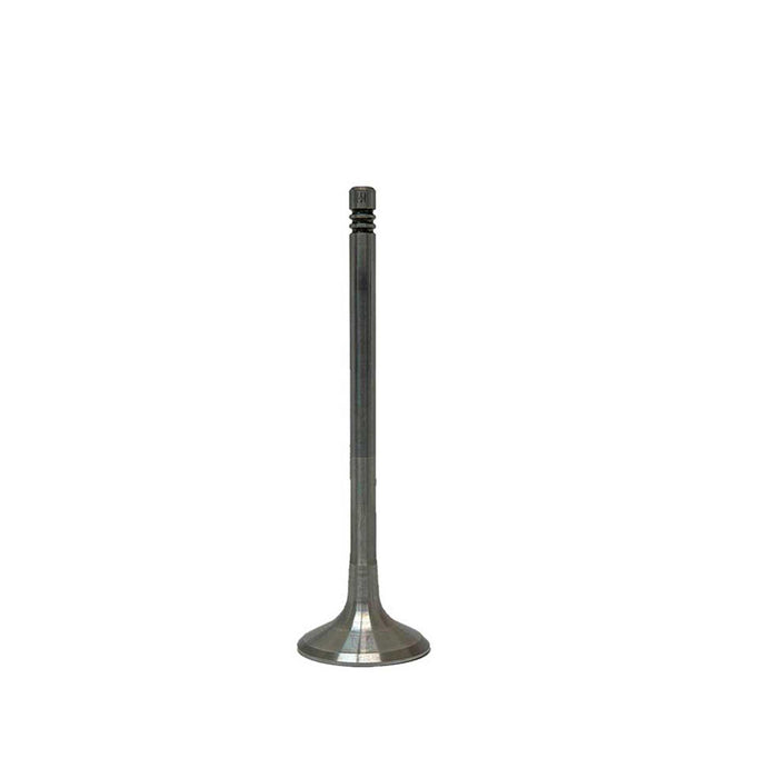 Exhaust / Intake Valve Kit