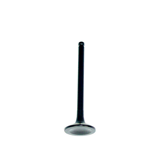 Exhaust / Intake Valve Kit