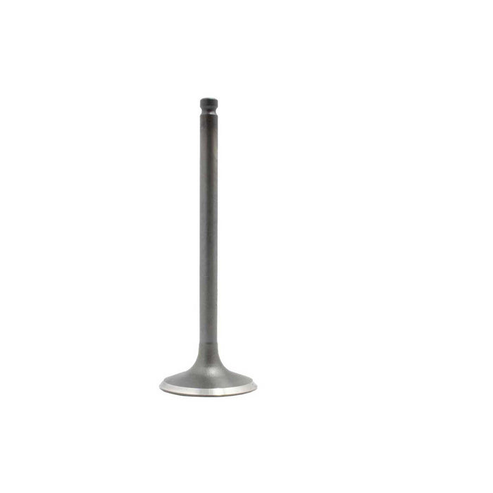 Exhaust / Intake Valve Kit