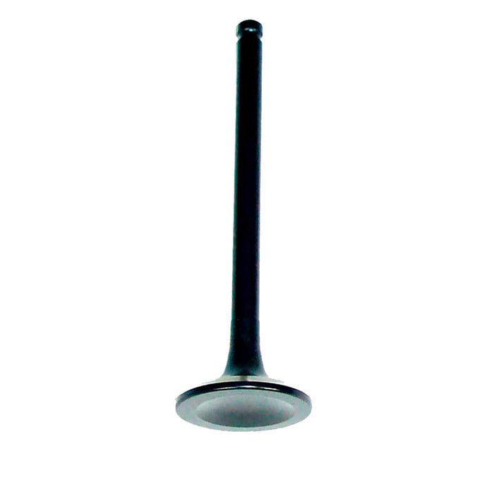 Exhaust / Intake Valve Kit