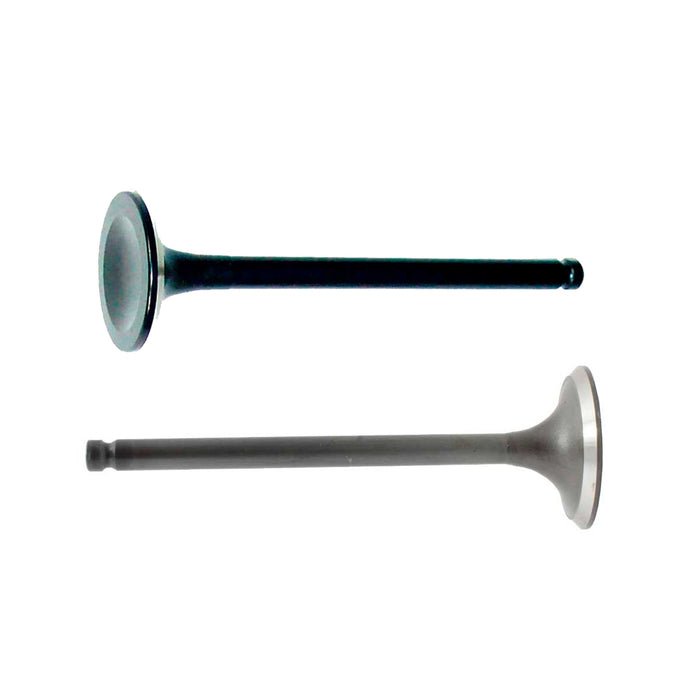 Exhaust / Intake Valve Kit