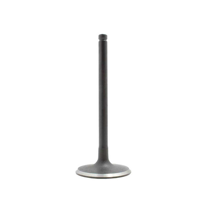 Exhaust / Intake Valve Kit